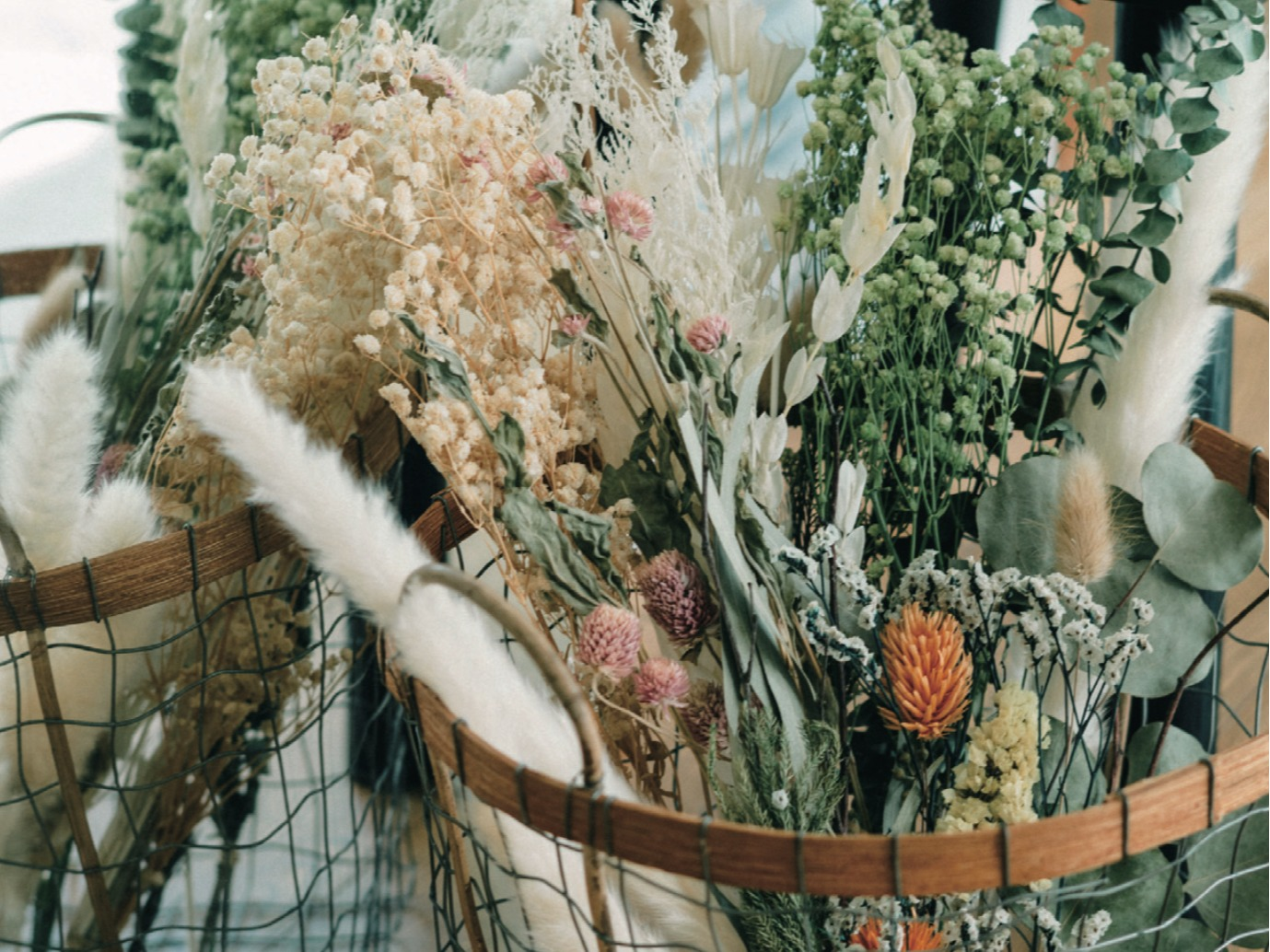 💐ドライフワラー💐